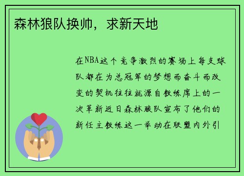 森林狼队换帅，求新天地